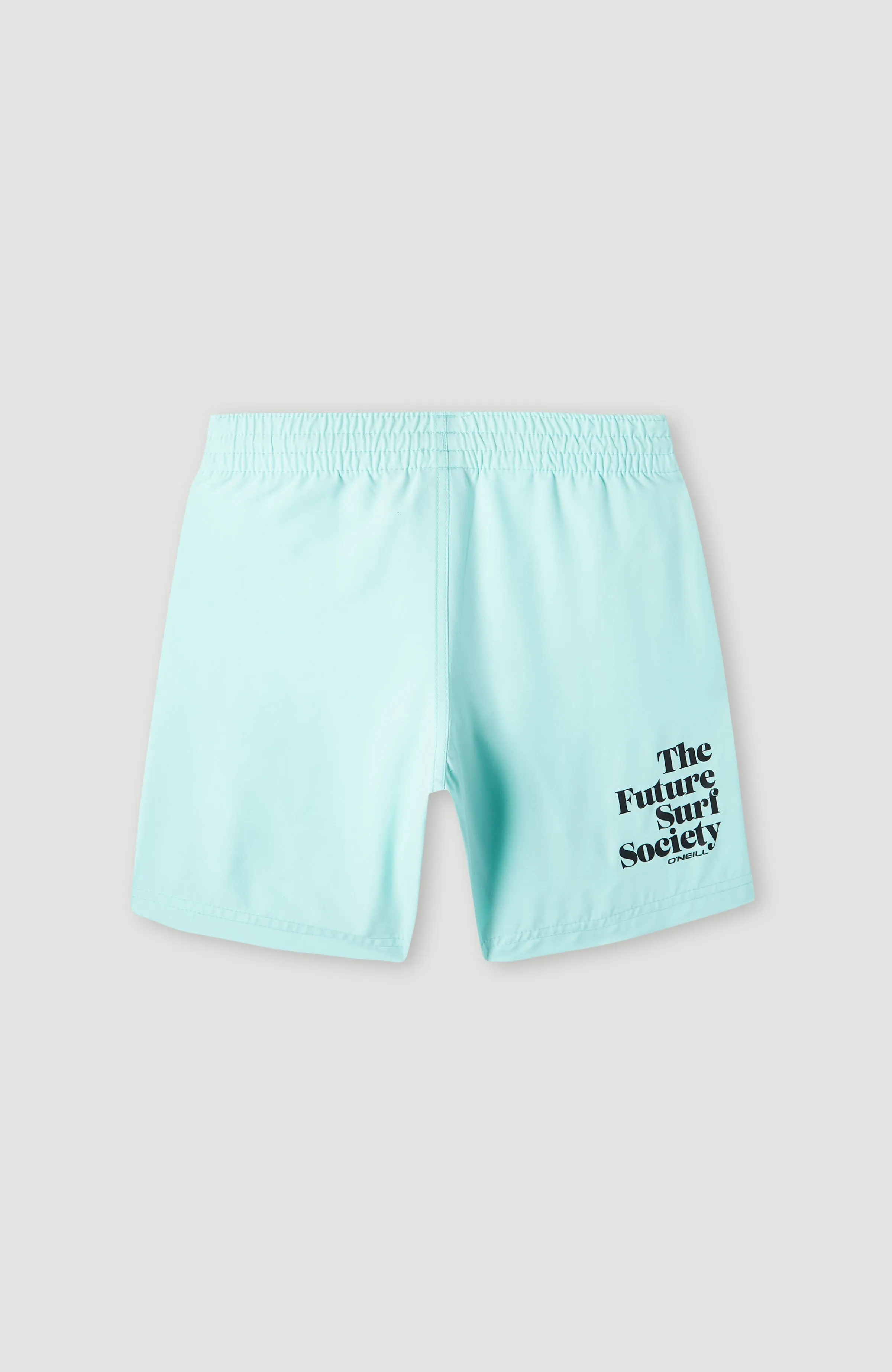 Future Surf Society 14'' Swim Shorts | Beach Glass