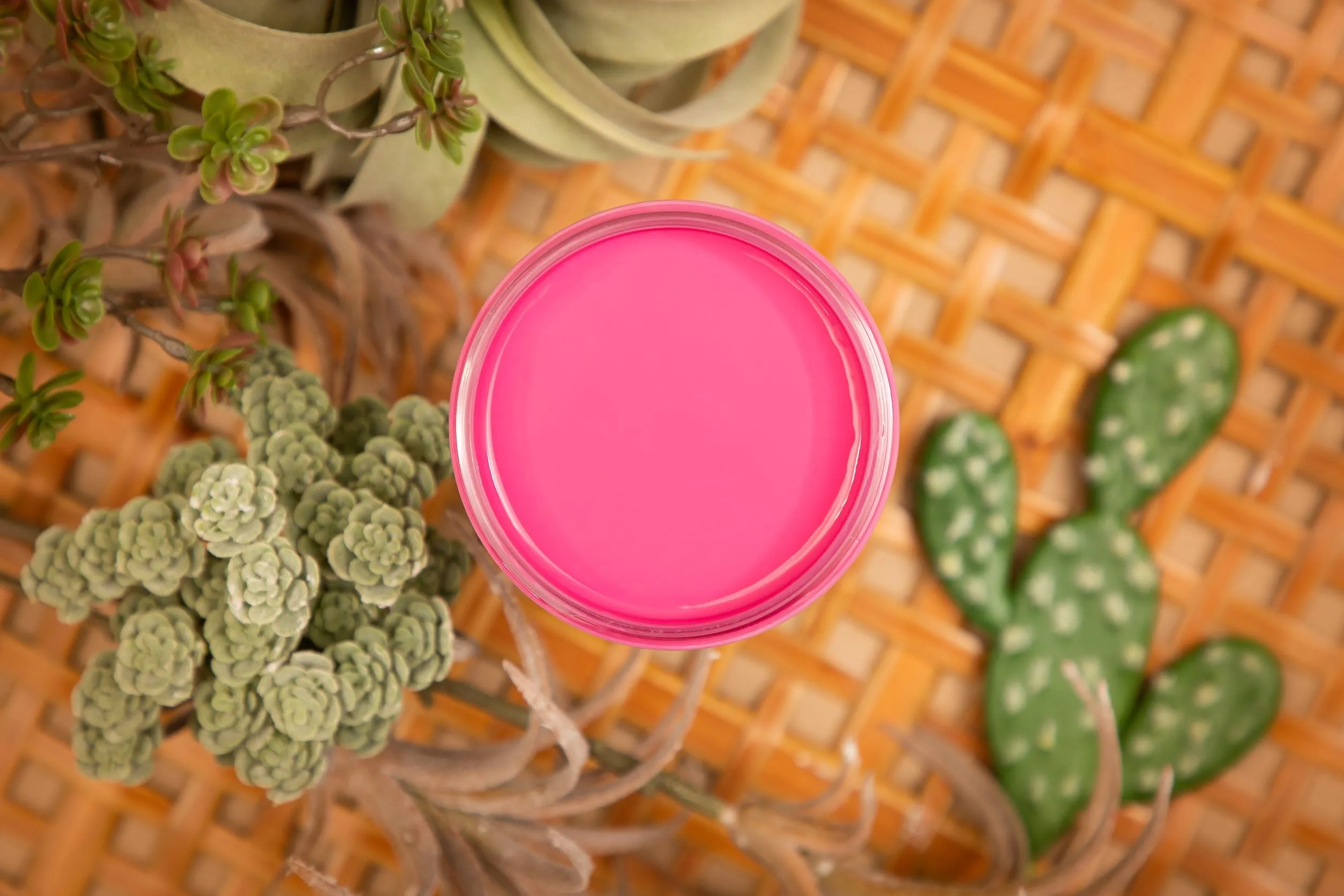 Prickly Pear Silk Mineral Paint